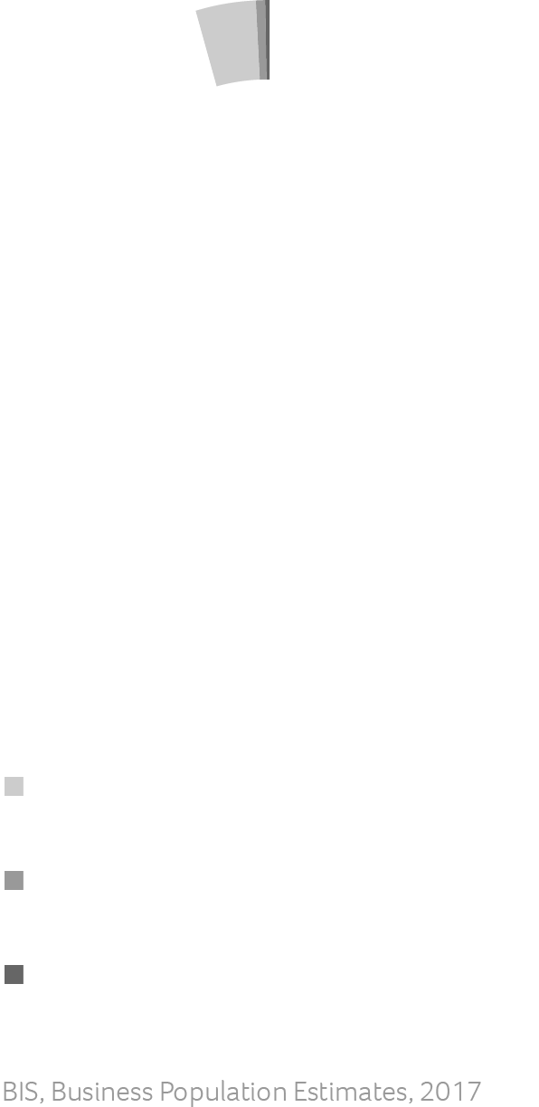Private sector businesses in the UK by number of employees graph